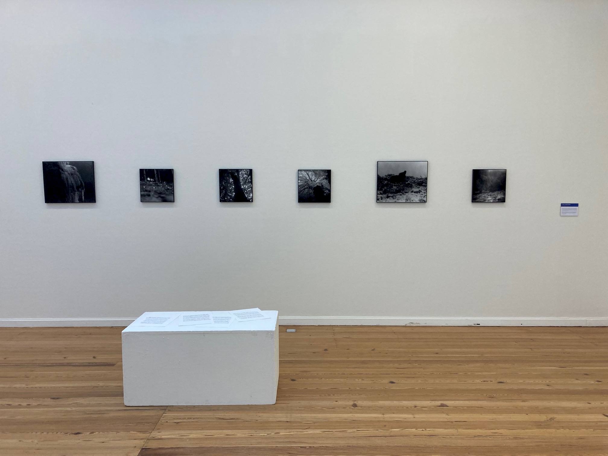 Knowing me. Knowing you. These are Curious Hands Exhibition View. Knowing Me. Knowing You. Paul Hondtong.